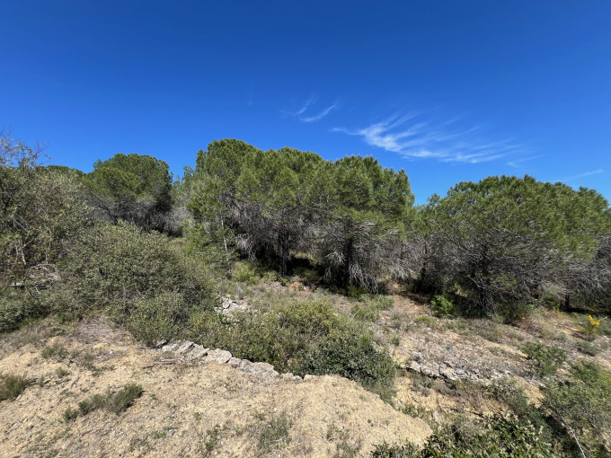 Offres de vente Terrain agricole La Livinière (34210)