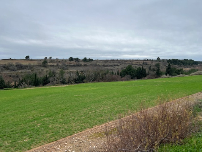 Offres de vente Terrain agricole Rieux-Minervois (11160)